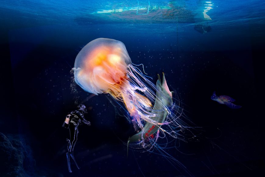 The lion’s mane jellyfish has grown to the size of a dustbin lid and is extremely venomous, taking on larger prey, such as a bottlenose dolphin. This image is part of a series commissioned by Bulb, the UK’s biggest green energy company, based on predictions by naturalist, Steve Backshall. The series shows how five land and sea animals might adapt over the next 100 years in order to avoid extinction due to ongoing carbon emissions and unsustainable habits. Artwork created by pre-vis studio Three Blind Mice with Neil Duerden.