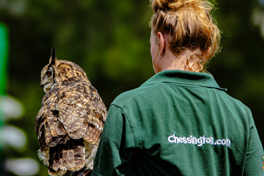 CWOAR - BIRD