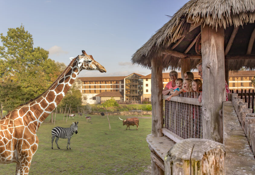 CWOA_Wanyama View