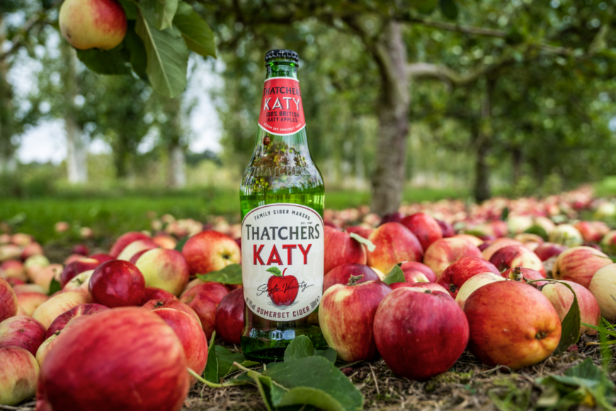 Thatchers Rose 2