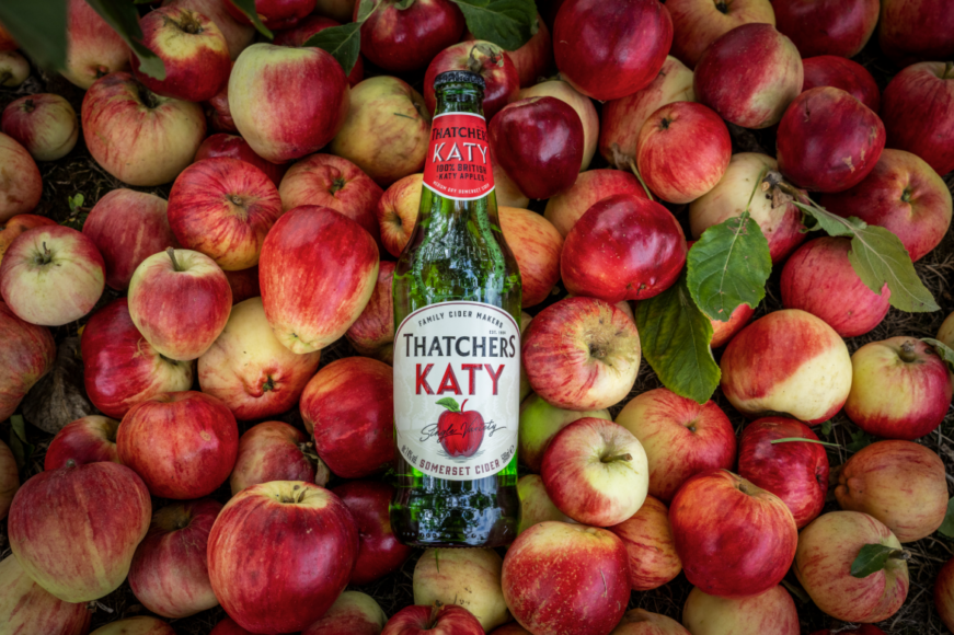 Thatchers Rose 3