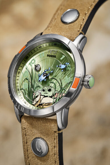 FSL22813 SU26 Fossil Feature