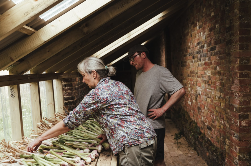 Falconhurst 7
