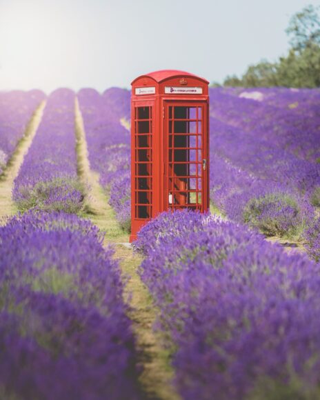 Phonebox2 Large
