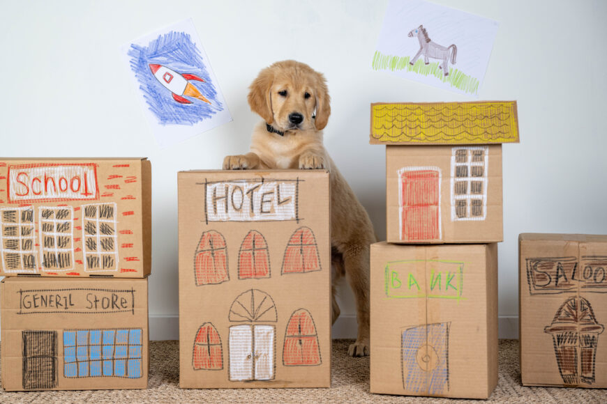 Guide dog puppy Buzz stars in playful new images, London, 29th April 2026