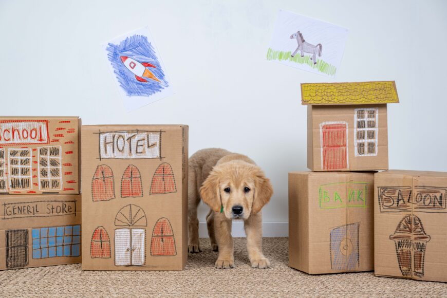 Guide dog puppy Buzz stars in playful new images, London, 29th April 2026