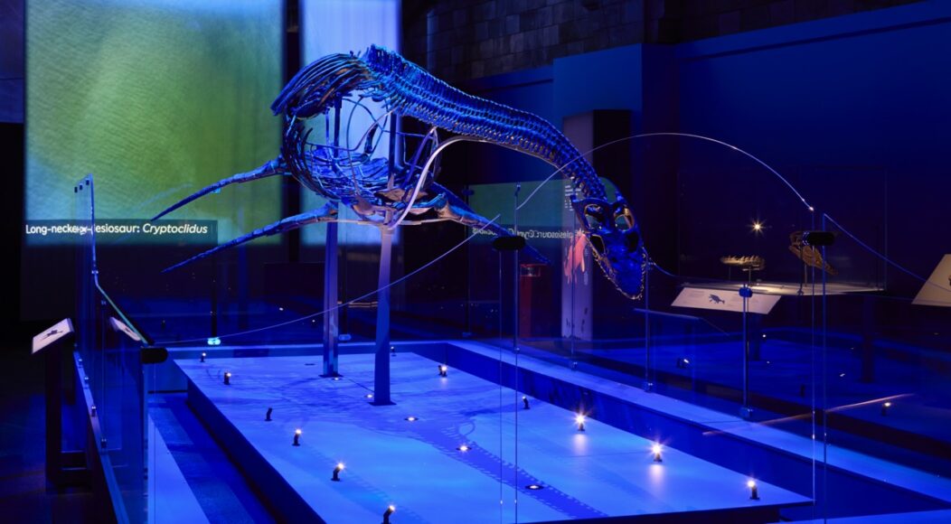 Jurassic Oceans Plesiosaur