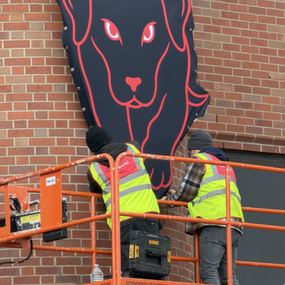 SAFC_BlackDog