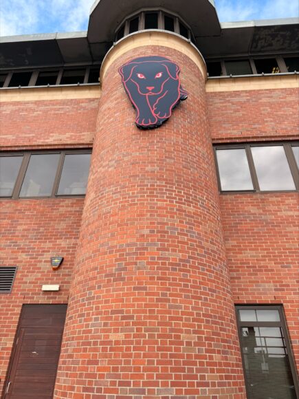 SAFC_BlackDog2