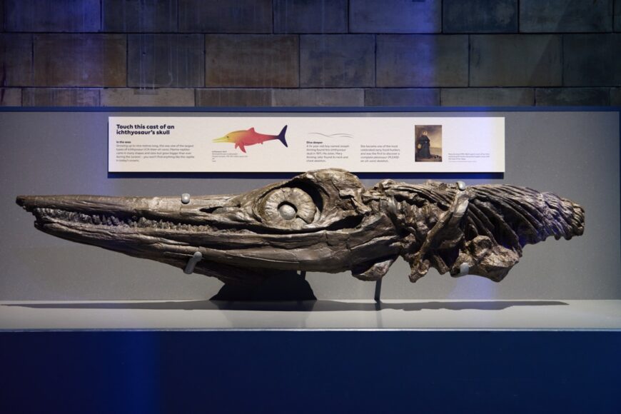 Jurassic Oceans Plesiosaur