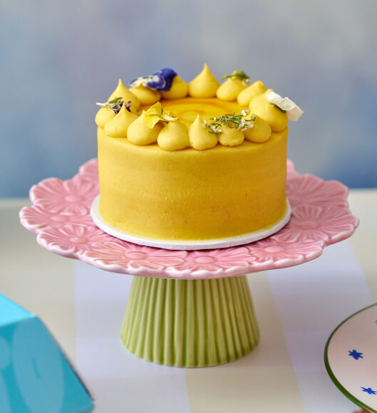 Bento Cakes3391