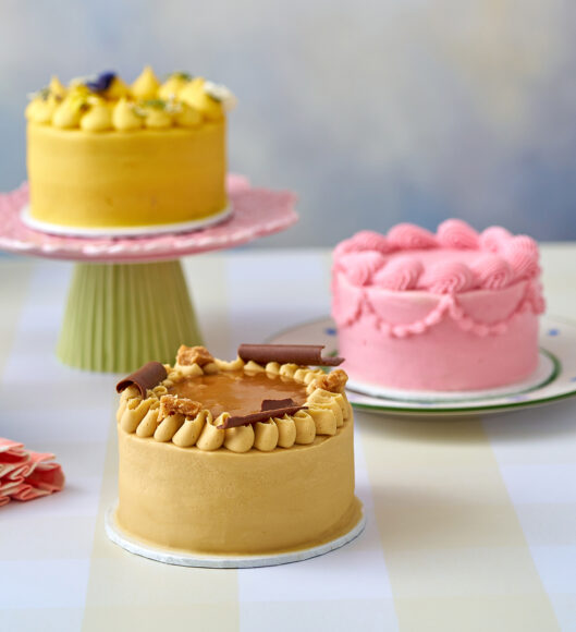 Bento Cakes3392
