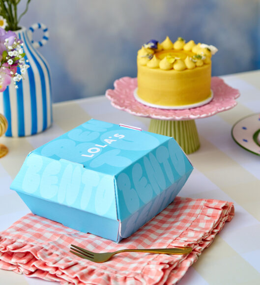 Bento Cakes3393