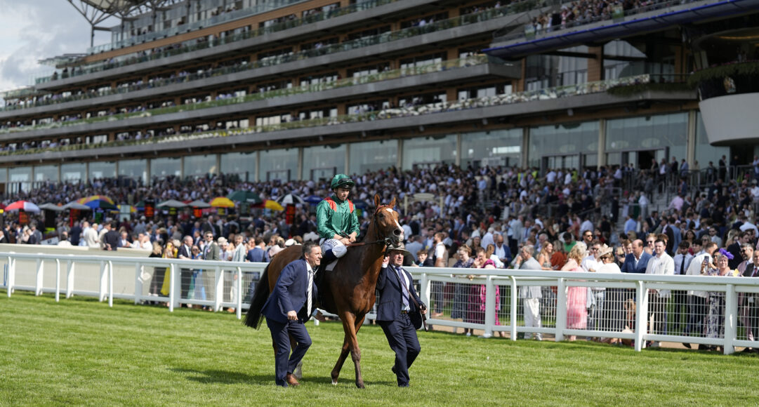 Calandagan, ridden by Mickael Barzalona, wins the King George VI & Queen Elizabeth Stakes (Group 1) on Saturday, 26 July 2025 at Ascot. Trained by Francis‑Henri Graffard and owned by Aga Khan Studs SCEA