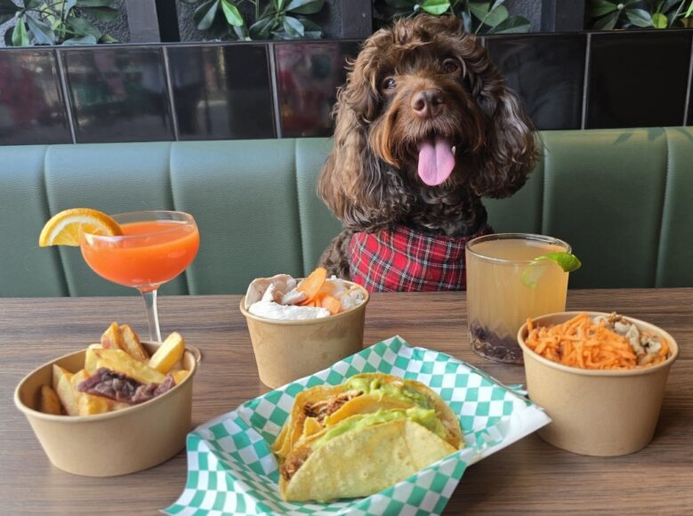 MARKET PLACE FOOD HALL NATIONAL DOG DISHES 1 (Medium)