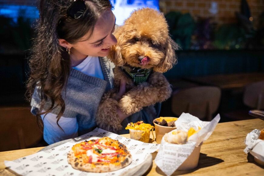 MARKET PLACE FOOD HALL NATIONAL DOG DISHES 7 (Medium)
