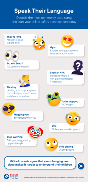 Slang Infographic