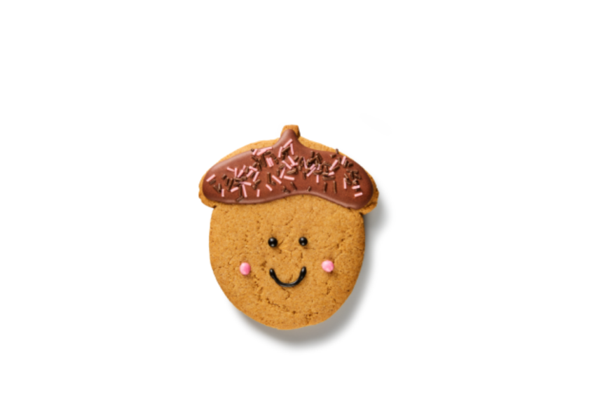 Acorn Ginger biscuit (Medium)